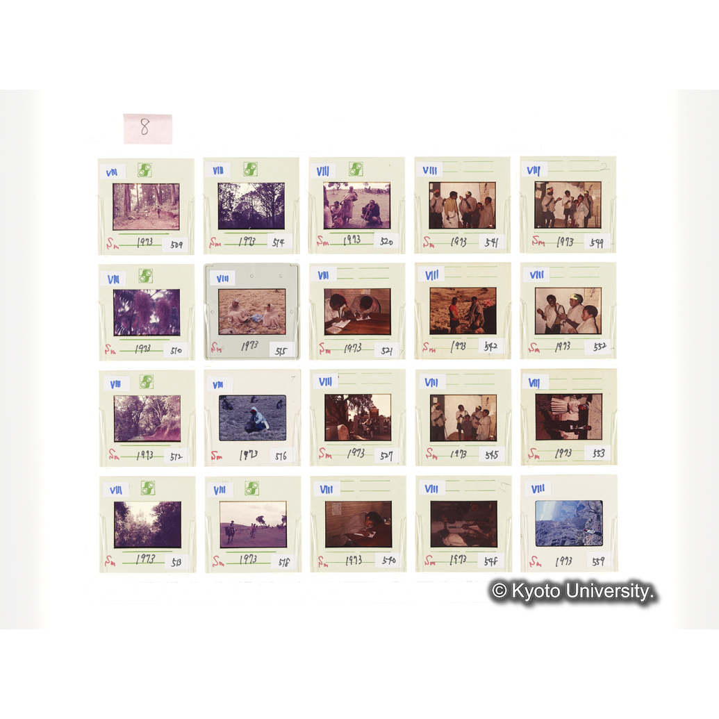 [スライドシート] 8 (1)