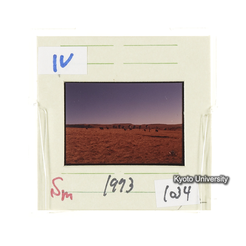 Sm　1973　1034 (2)