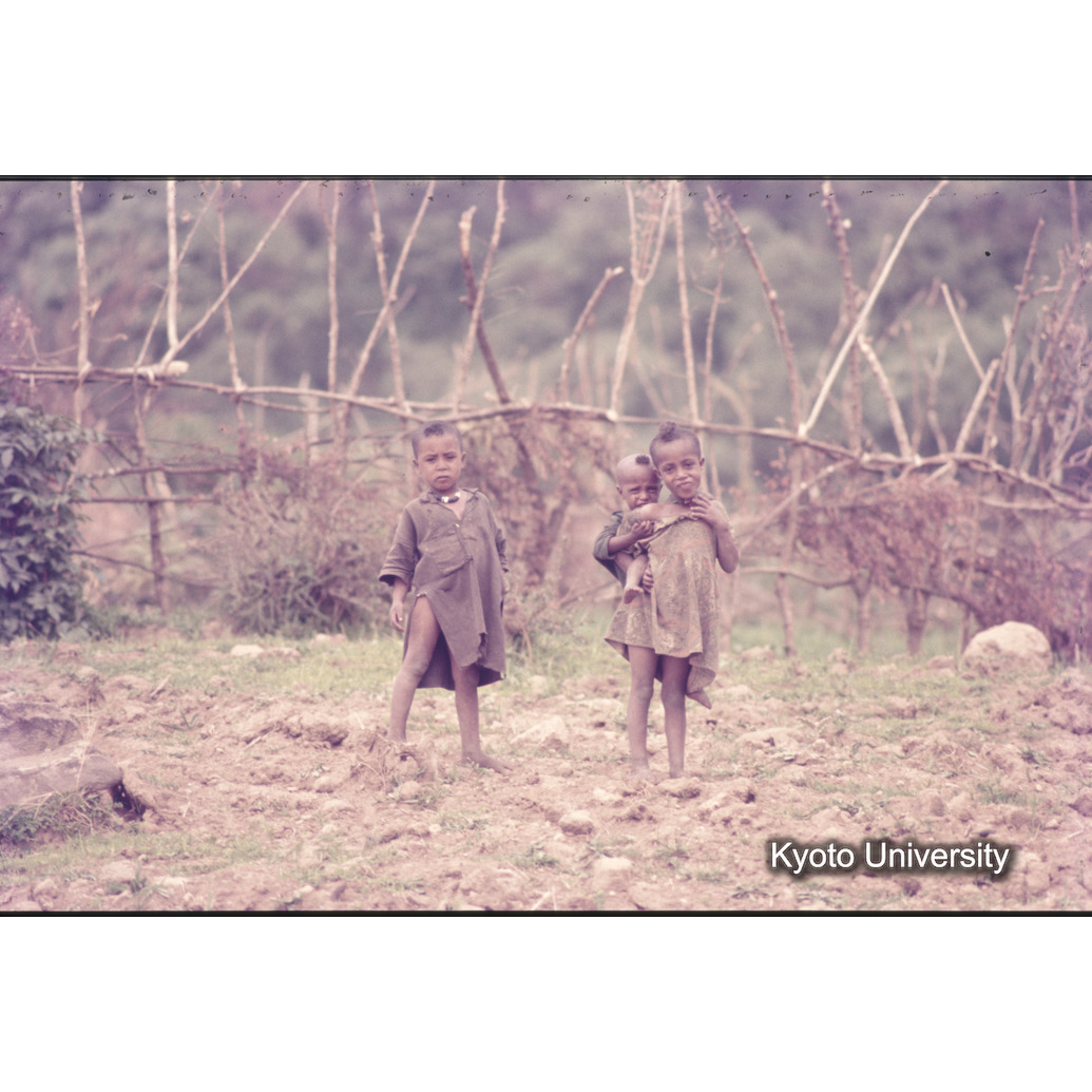 Sm　1973　1454 (1)