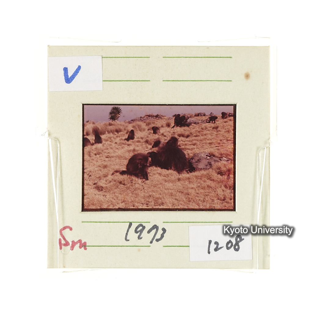 Sm　1973　1208 (2)