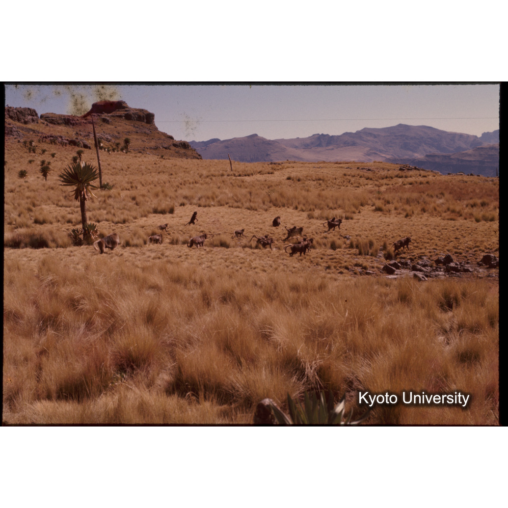 Sm　1973　1395 (1)