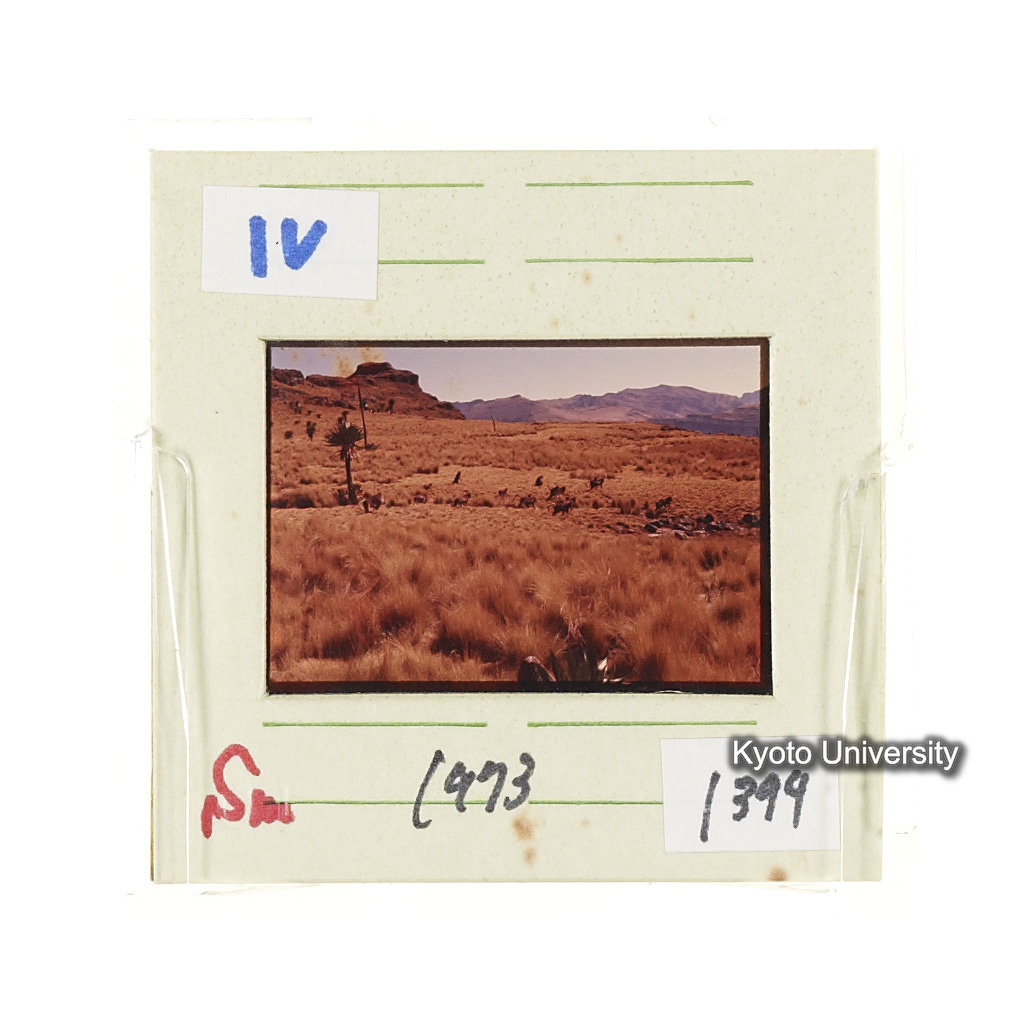 Sm　1973　1395 (2)