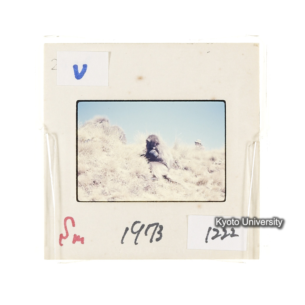 Sm　1973　1222 (2)