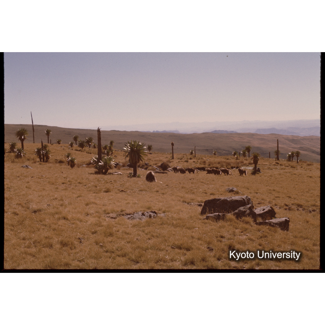 Sm　1973　1027 (1)