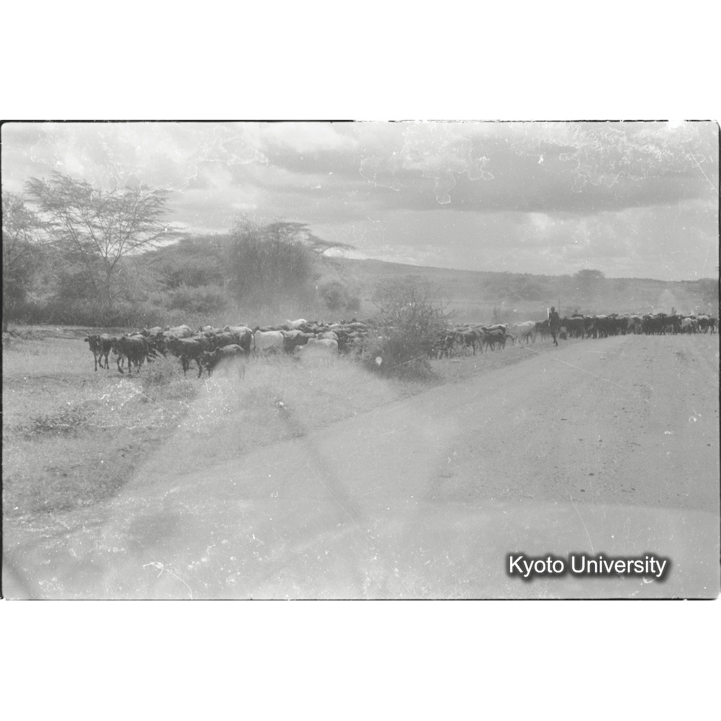 [32コマ目]「×」 (1)