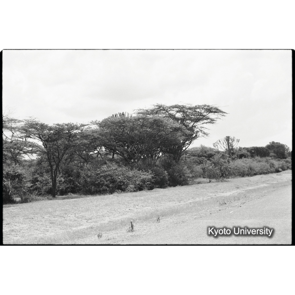 [３４コマ目]「×」 (1)