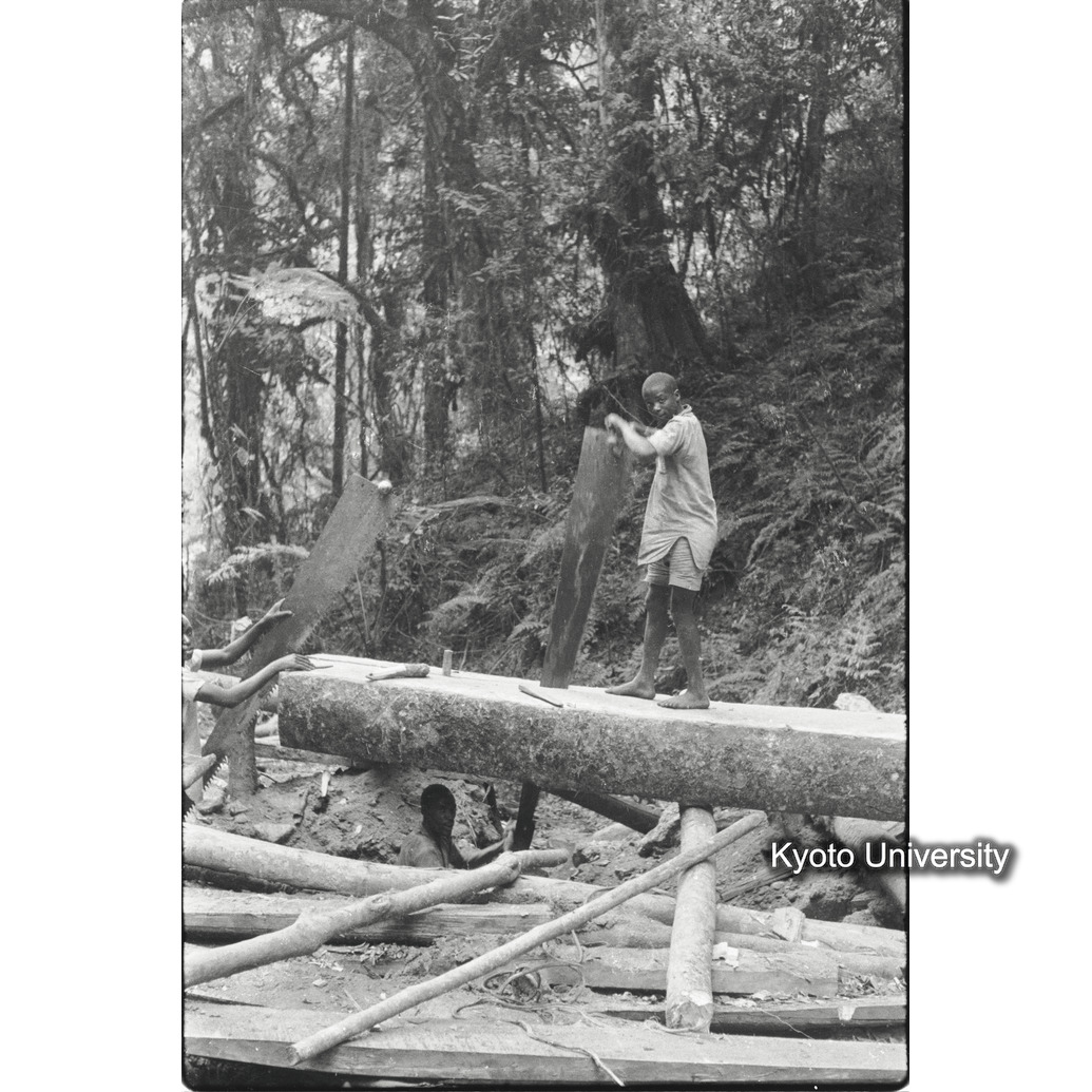 [11コマ目]「製材」 (1)