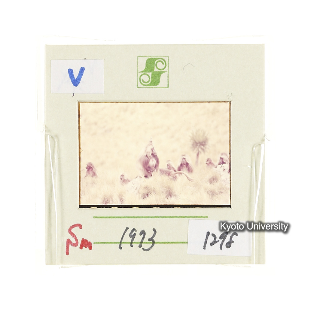 Sm　1973　1298 (2)