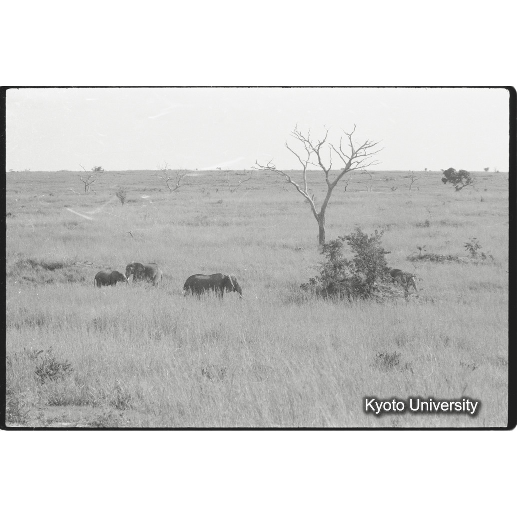 [１３コマ目]「×」 (1)