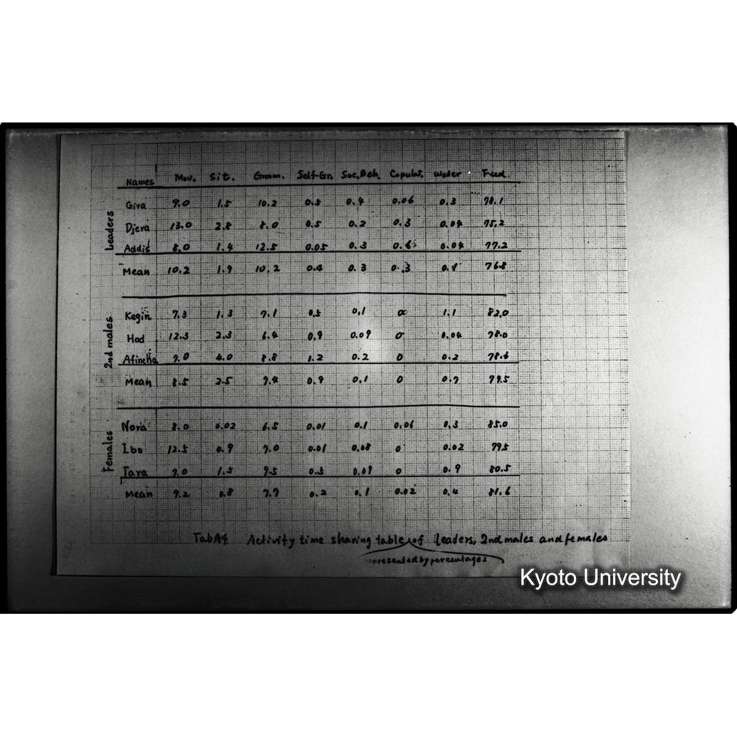 [２９コマ目]「×」 (1)