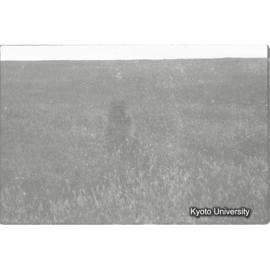 [１２コマ目]「×」 (1)