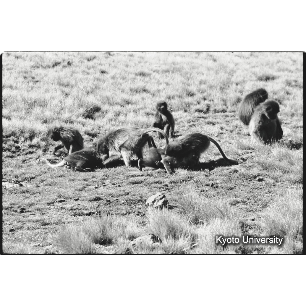 [３５コマ目]「水を飲むコドモグループ（２）」 (1)