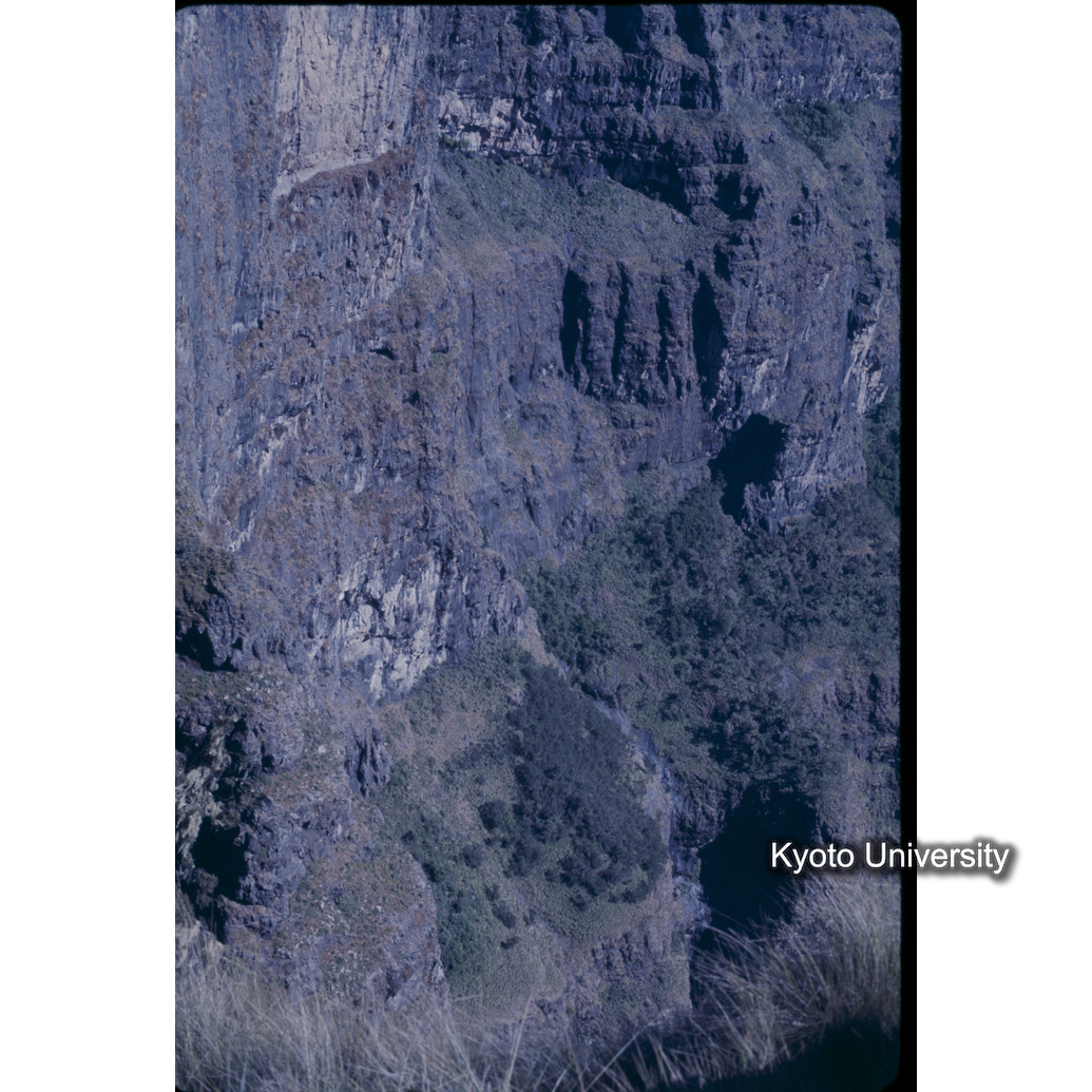 Sm　1973　56　（N）[赤色, 丸囲み] (1)