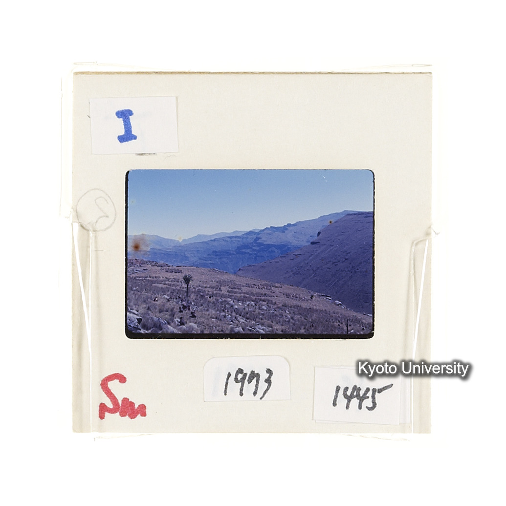 Sm　1973　1445 (2)