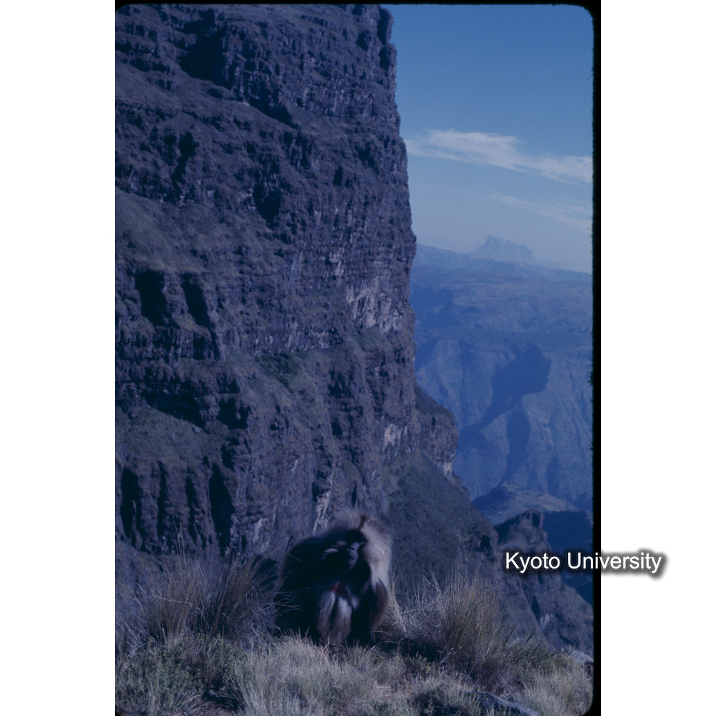 Sm　1973　15　（N）[赤色, 丸囲み] (1)