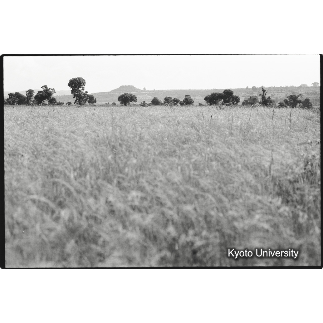 [２３コマ目]「テフ（４）」 (1)