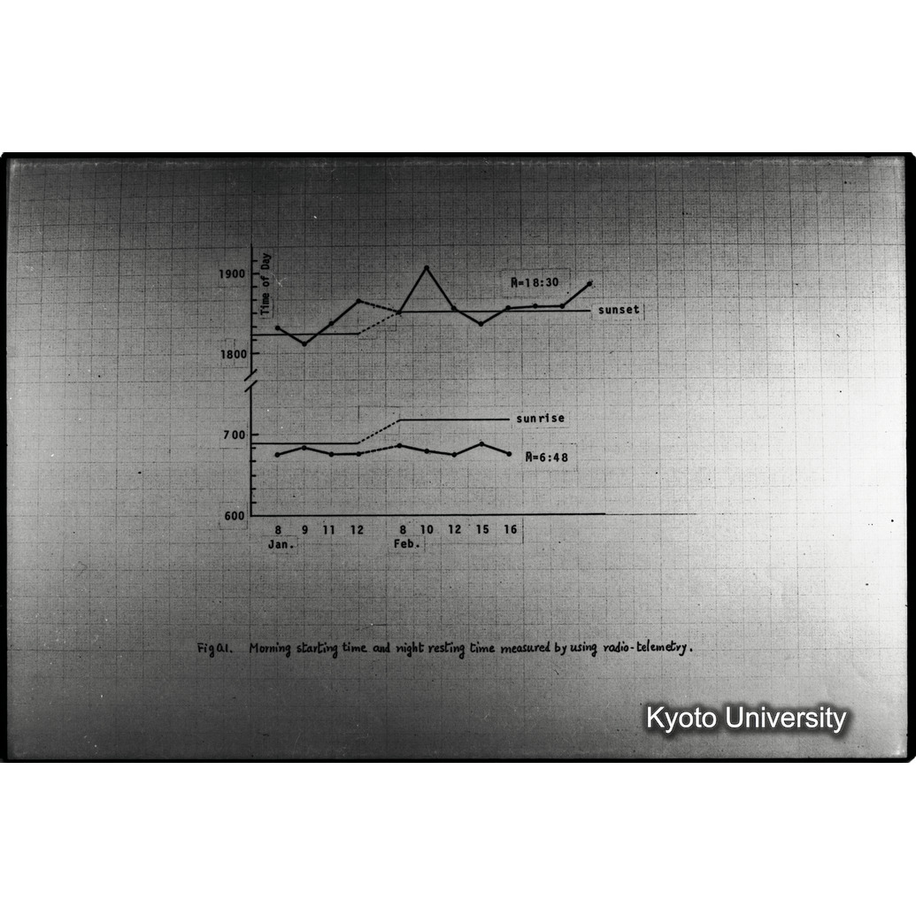 [１４コマ目]「×」 (1)