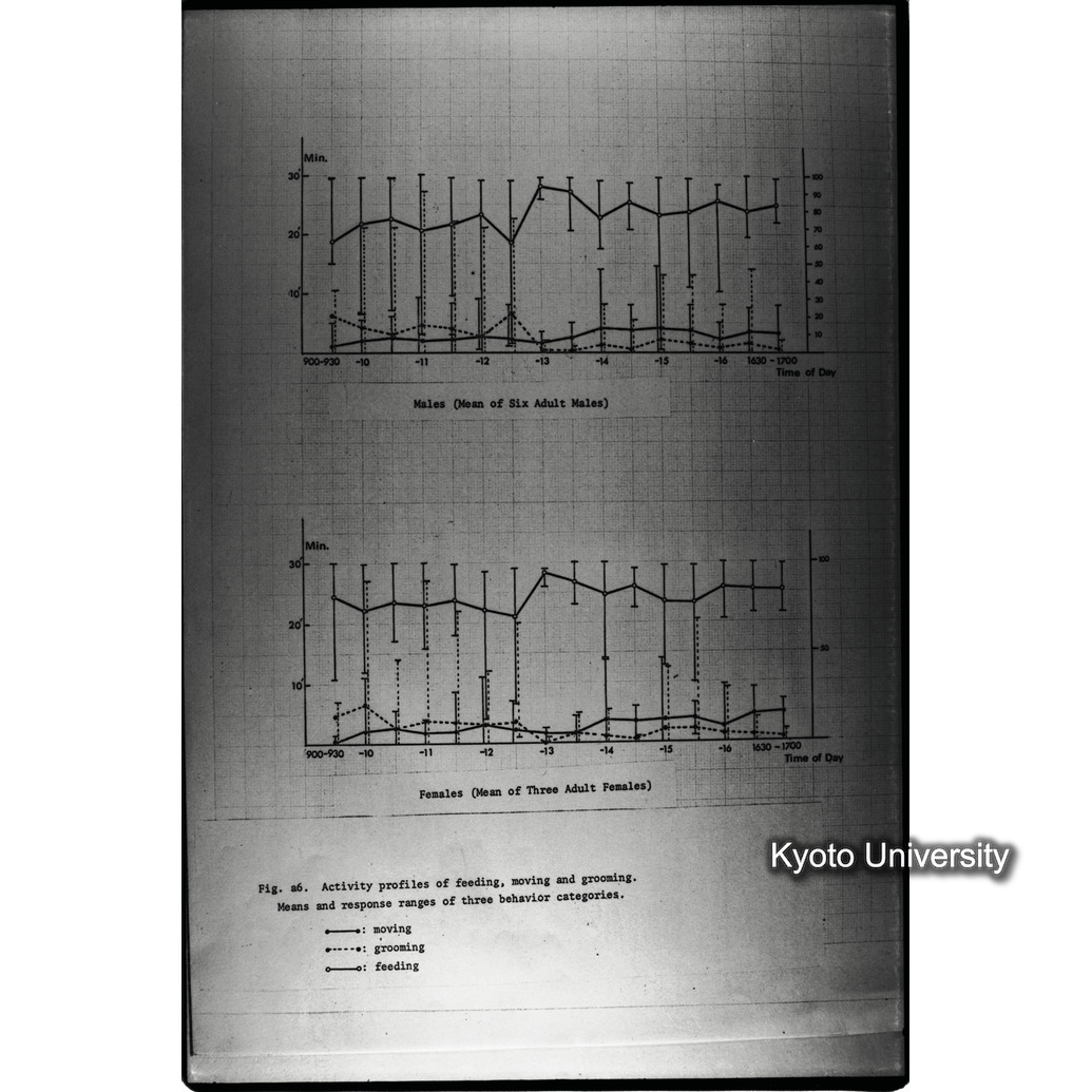 [１５コマ目]「×」 (1)