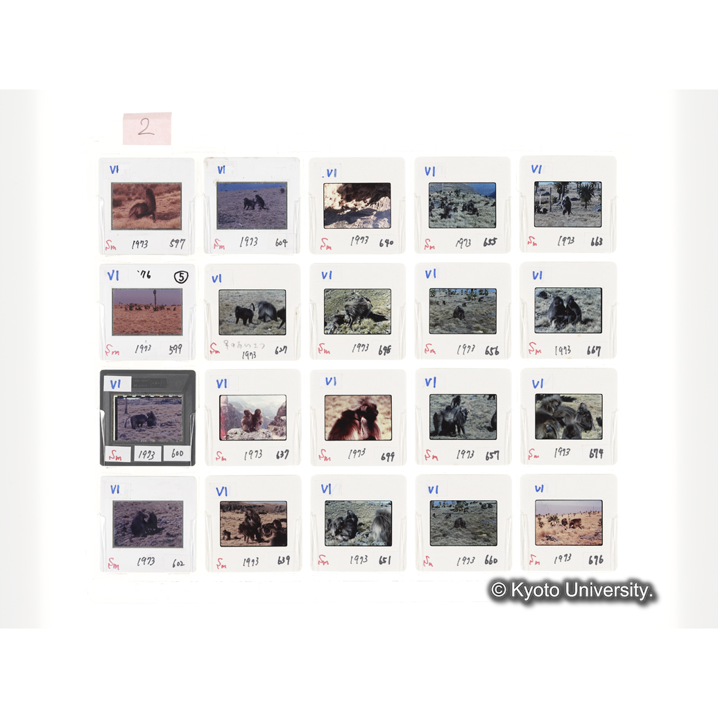 [スライドシート] 2 (1)