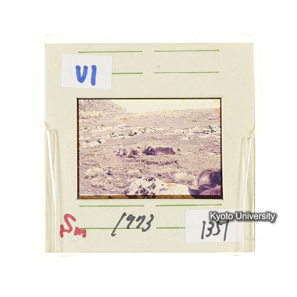 Sm　1973　1351 (2)