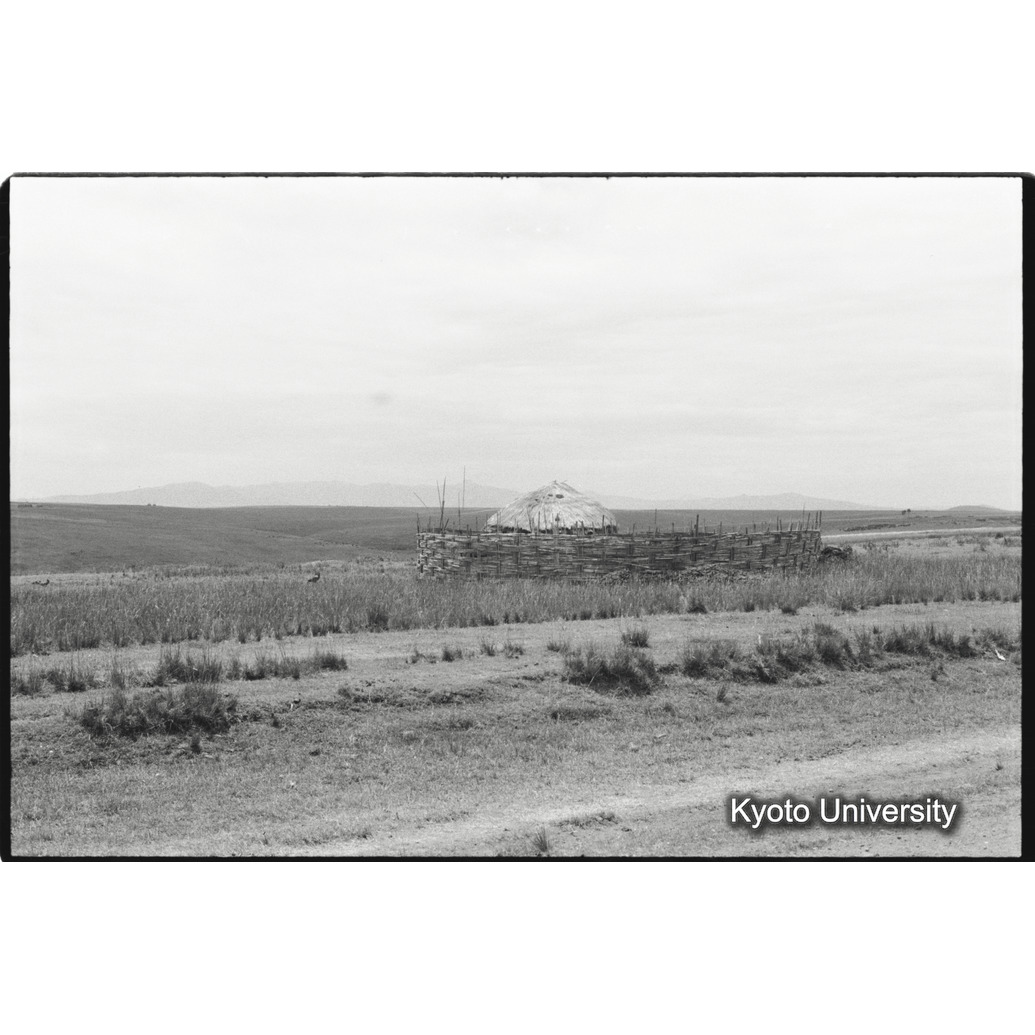 [３コマ目]「シダモ族の農家（２）」 (1)