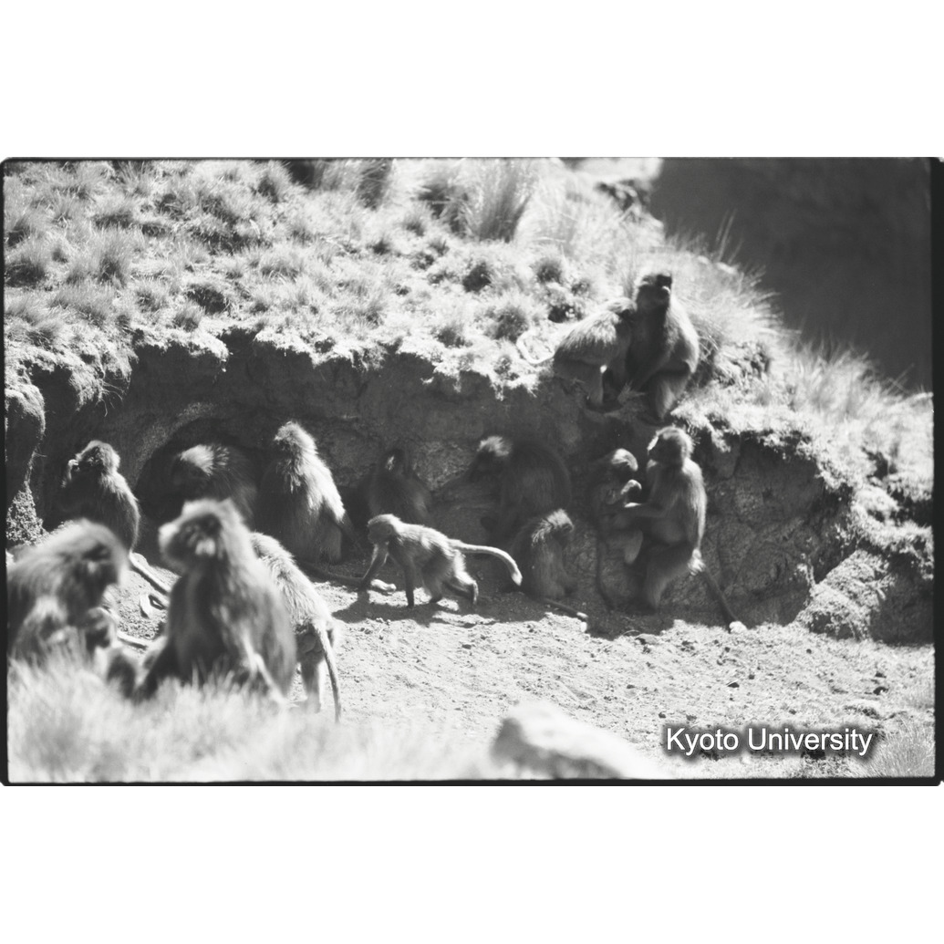 [１０コマ目]「コドモグループ（２）」 (1)