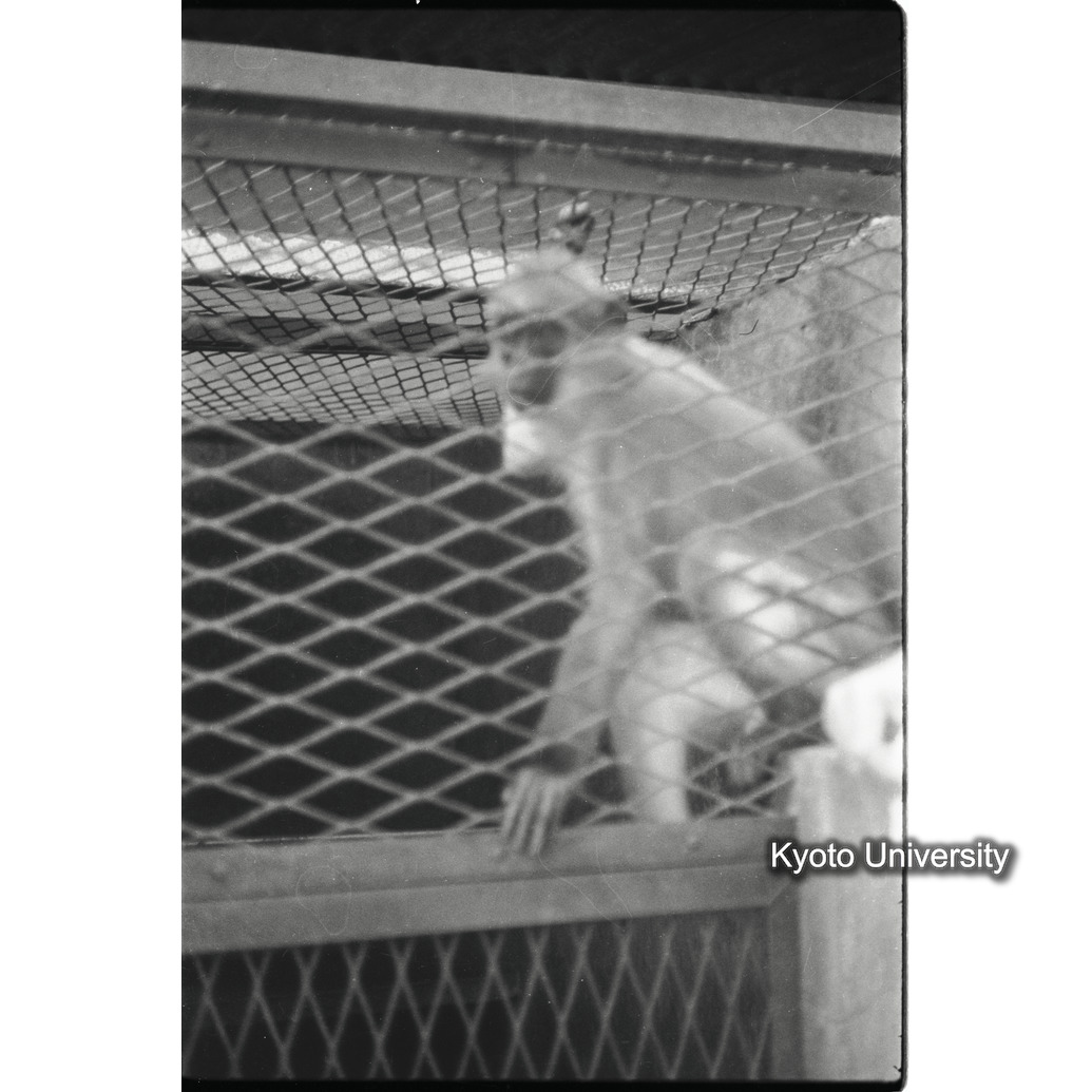 [18コマ目]「×」 (1)