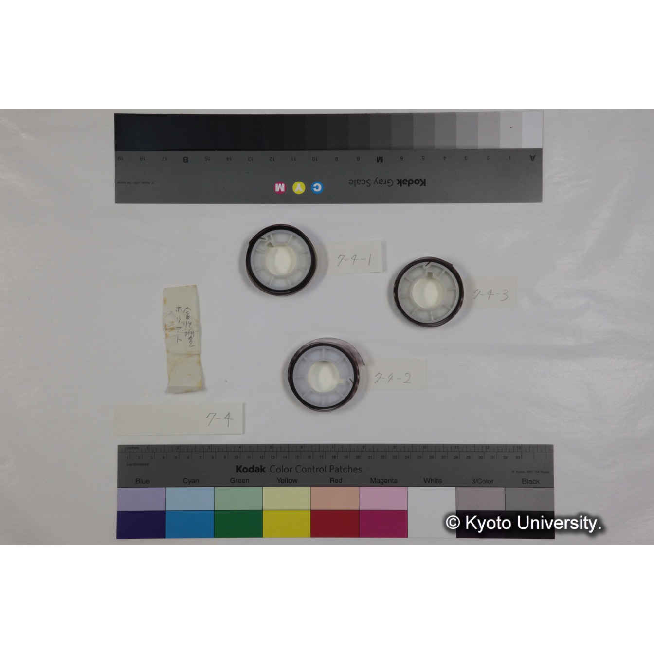 フッテージ４「食性調査」 (3)