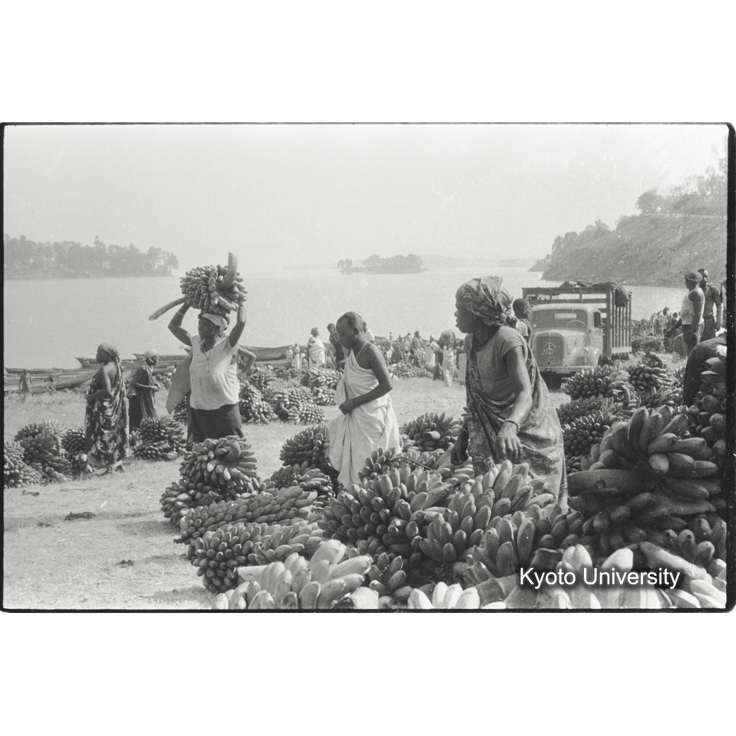 [１２コマ目]「プランテンバナナ」 (1)