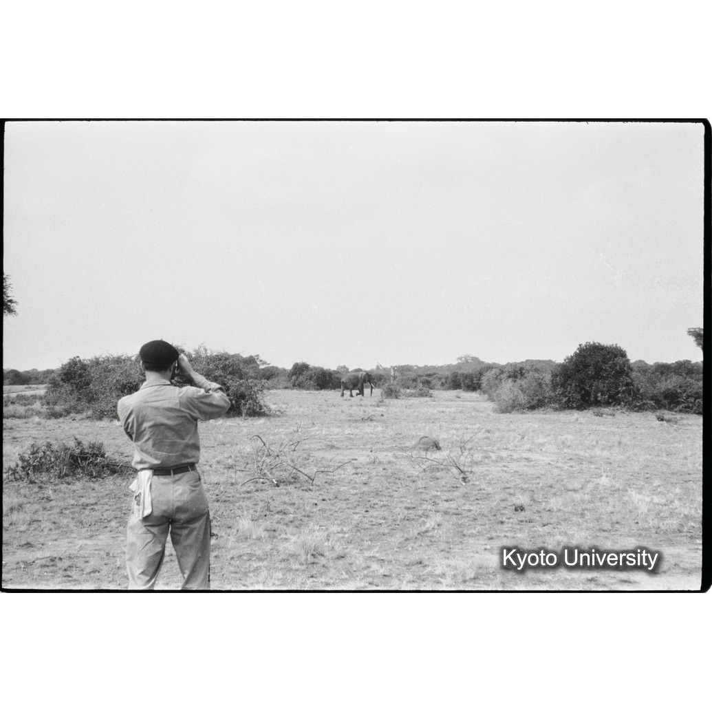 [２１コマ目]「アフリカゾウ」 (1)