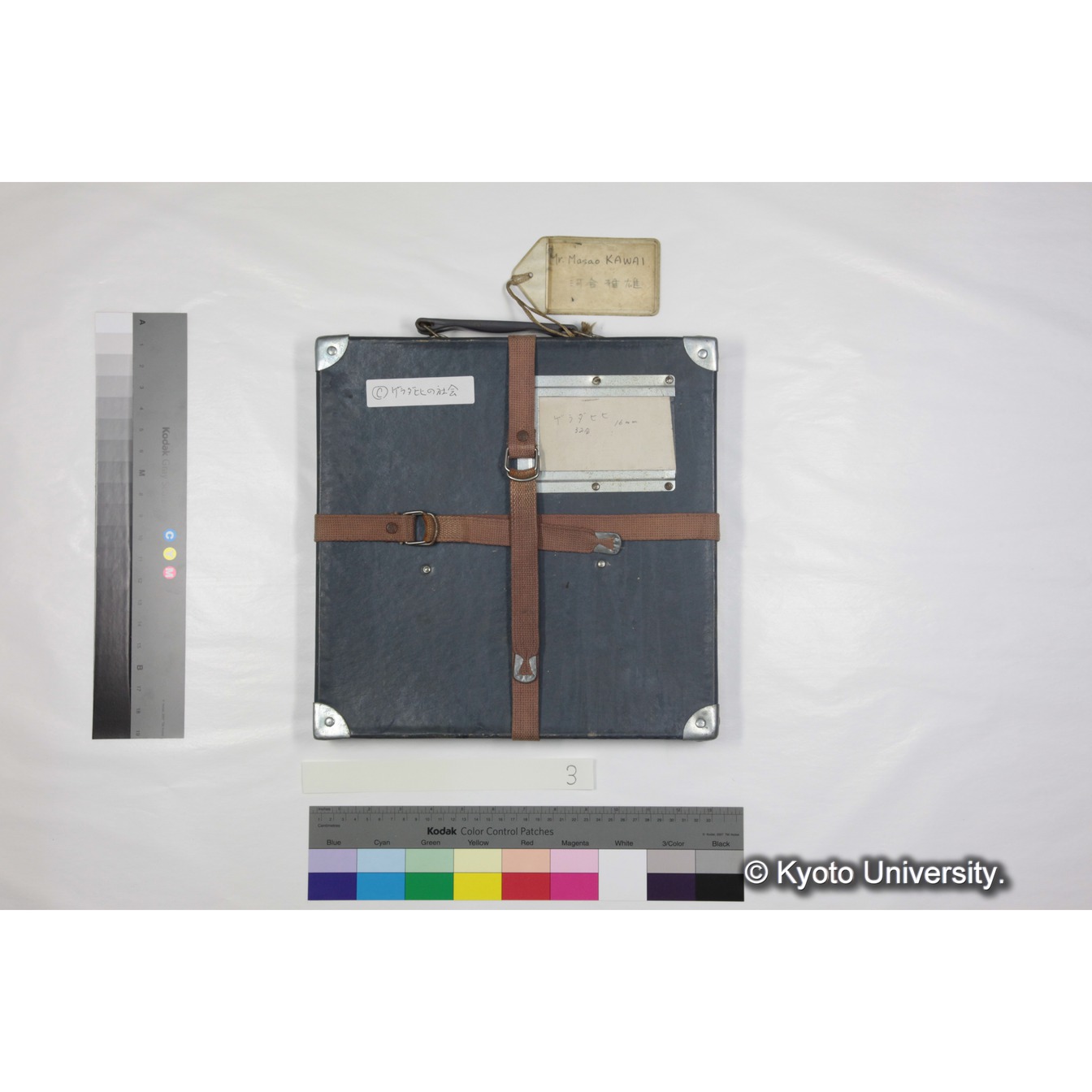 [ケース]3　"Gelada　socity　in　Semien（1973）"　 (1)