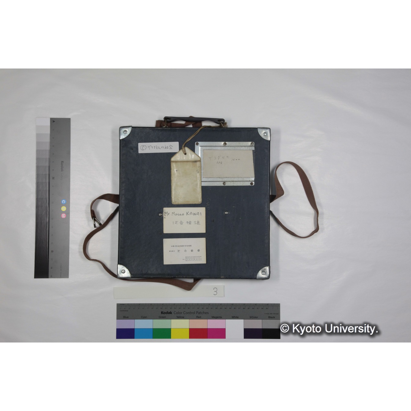 [ケース]3　"Gelada　socity　in　Semien（1973）"　 (2)