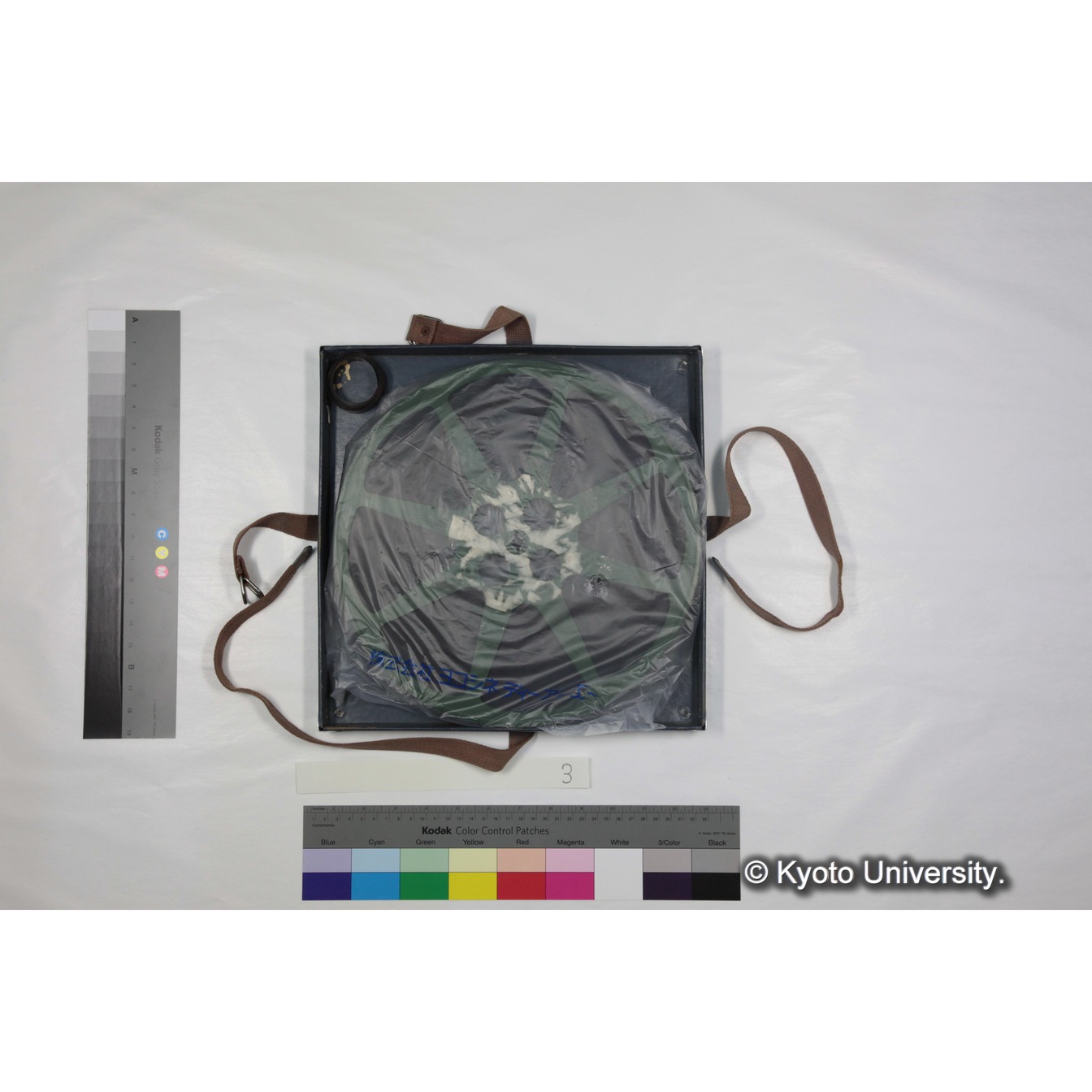 [ケース]3　"Gelada　socity　in　Semien（1973）"　 (4)