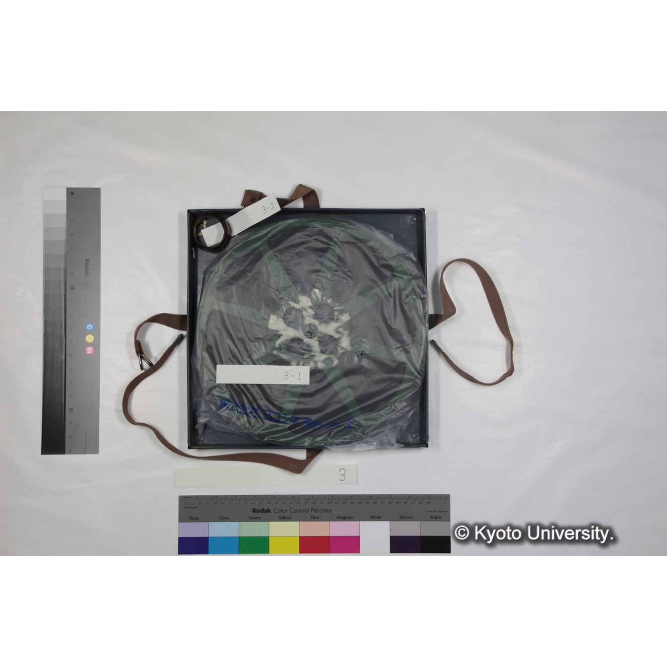 [ケース]3　"Gelada　socity　in　Semien（1973）"　 (5)