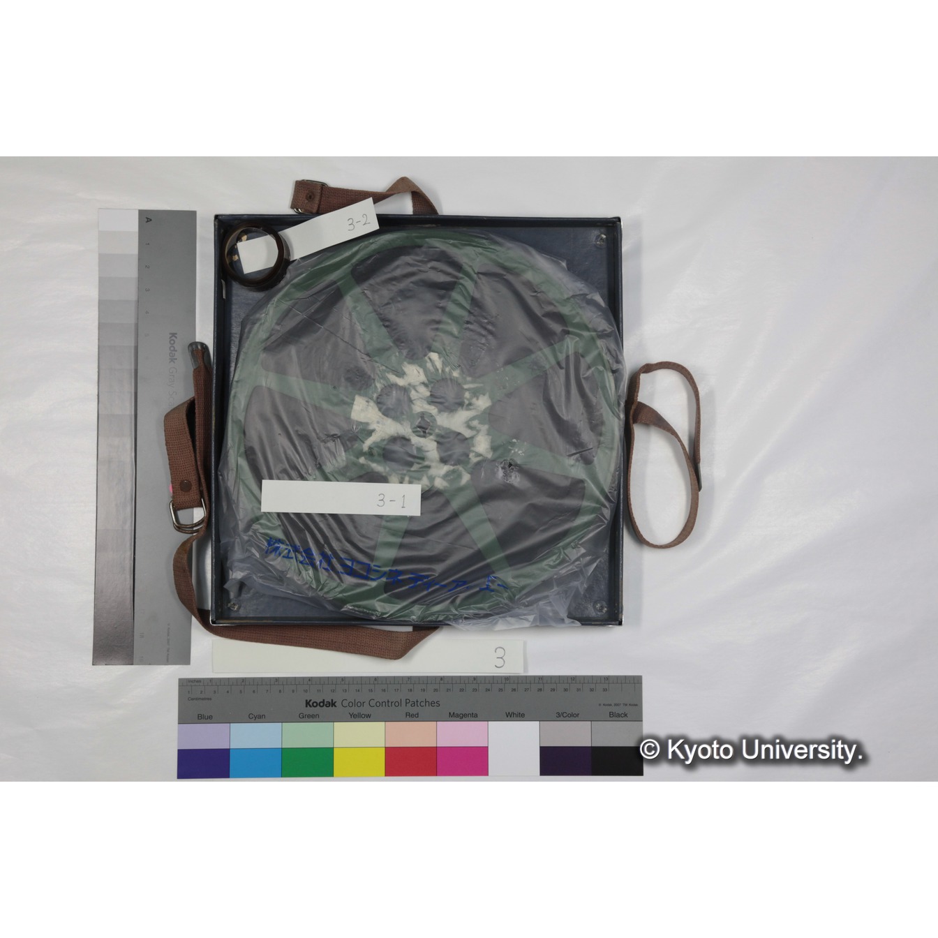 [ケース]3　"Gelada　socity　in　Semien（1973）"　 (6)