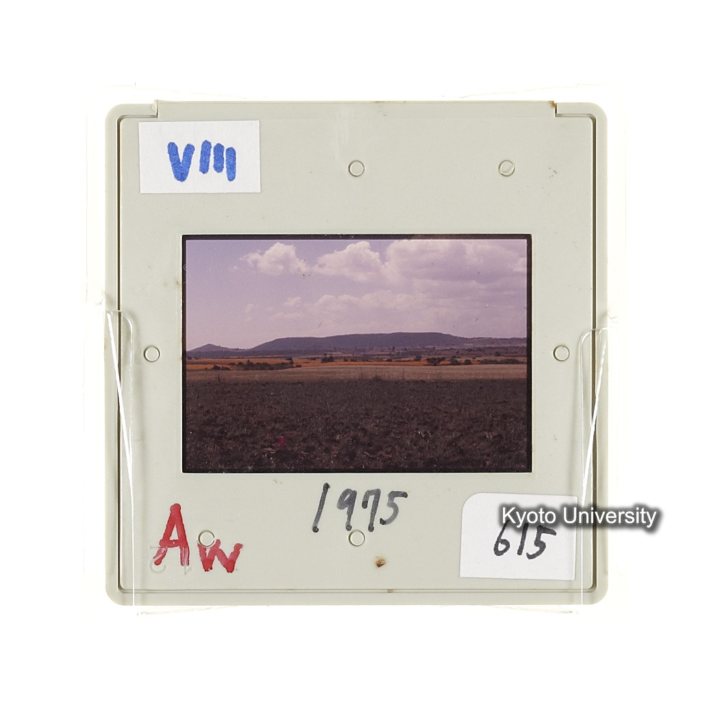 Aw　1975　615 (2)