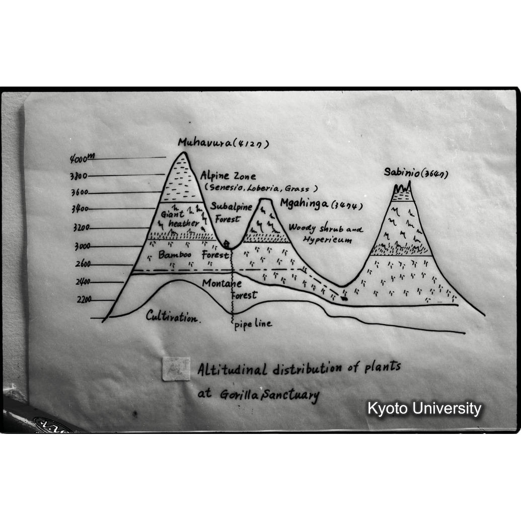 [５コマ目]「資料のまとめ（成果）」 (1)