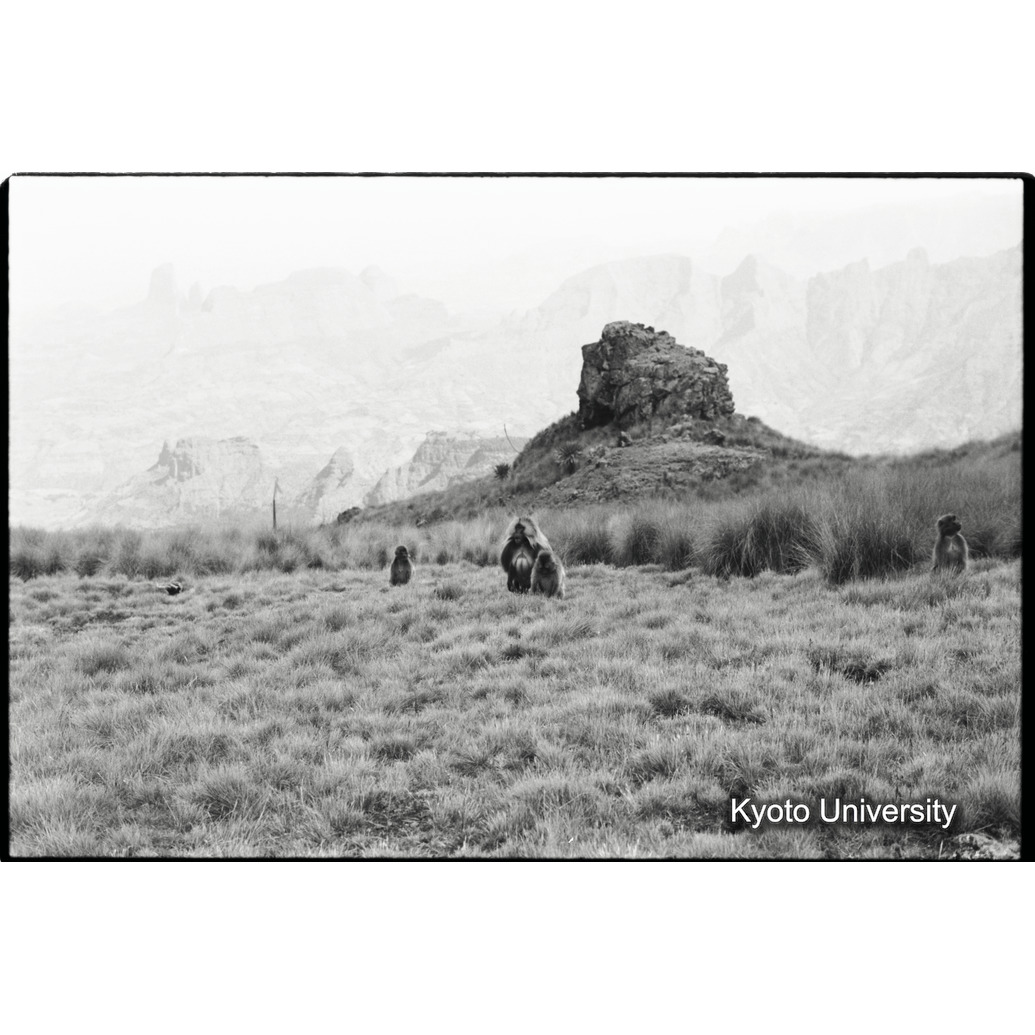 [３５コマ目]「警戒」 (1)