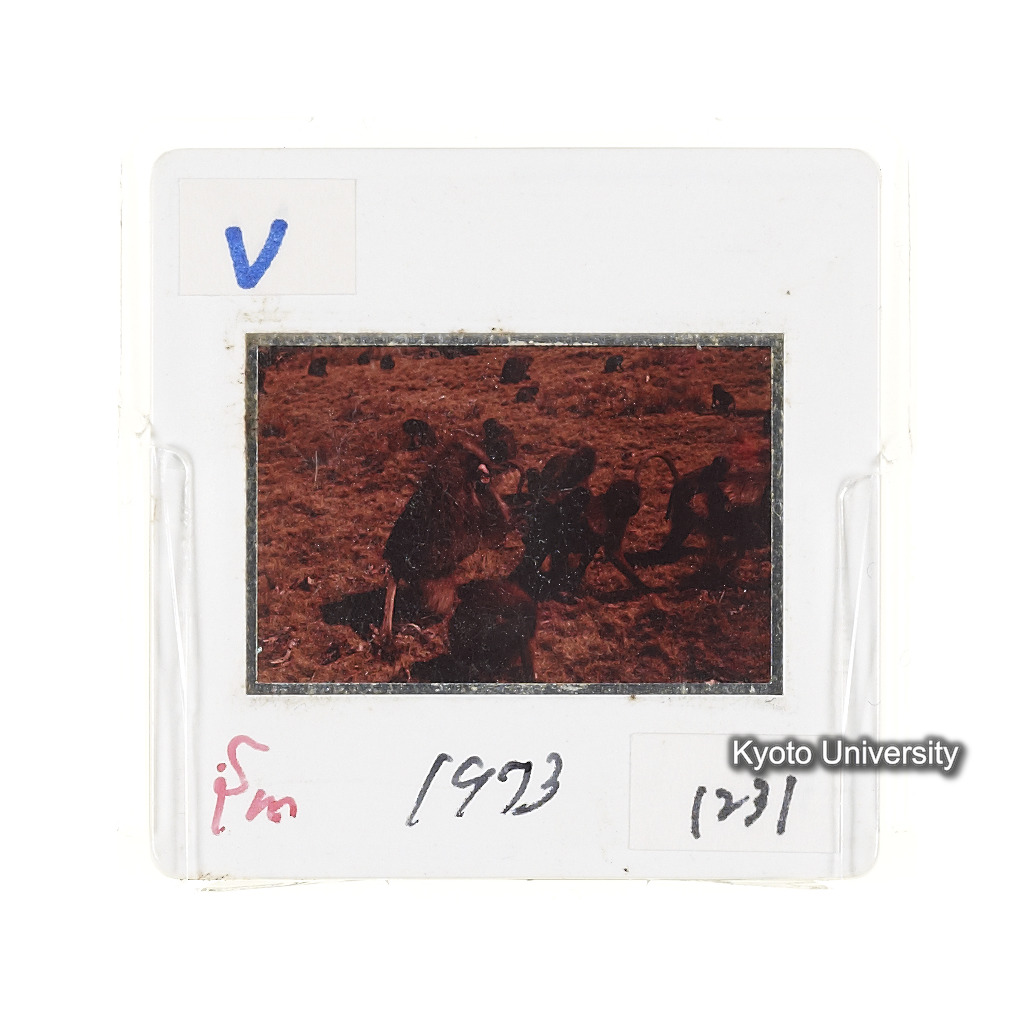 Sm　1973　1231 (2)