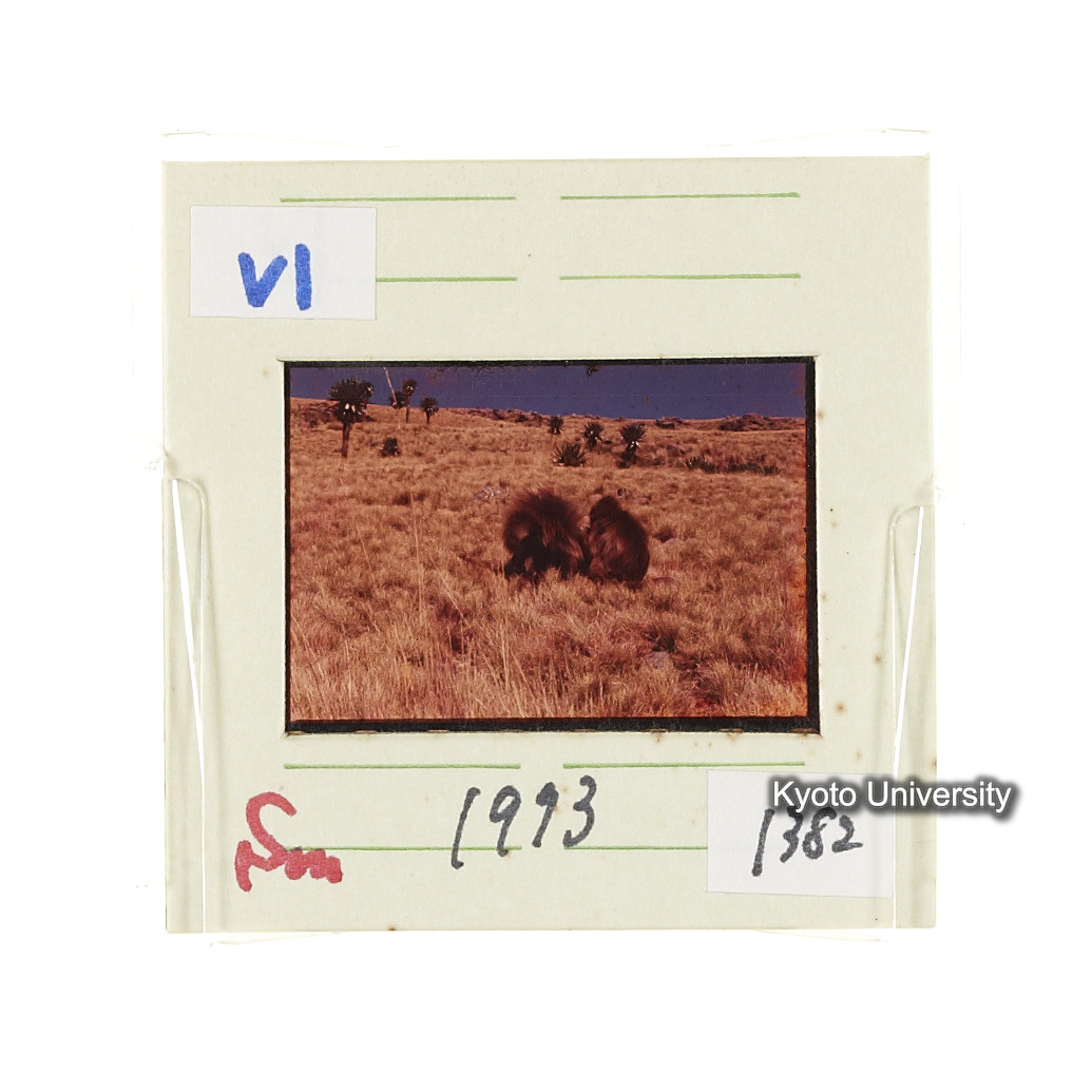 Sm　1973　1382 (2)