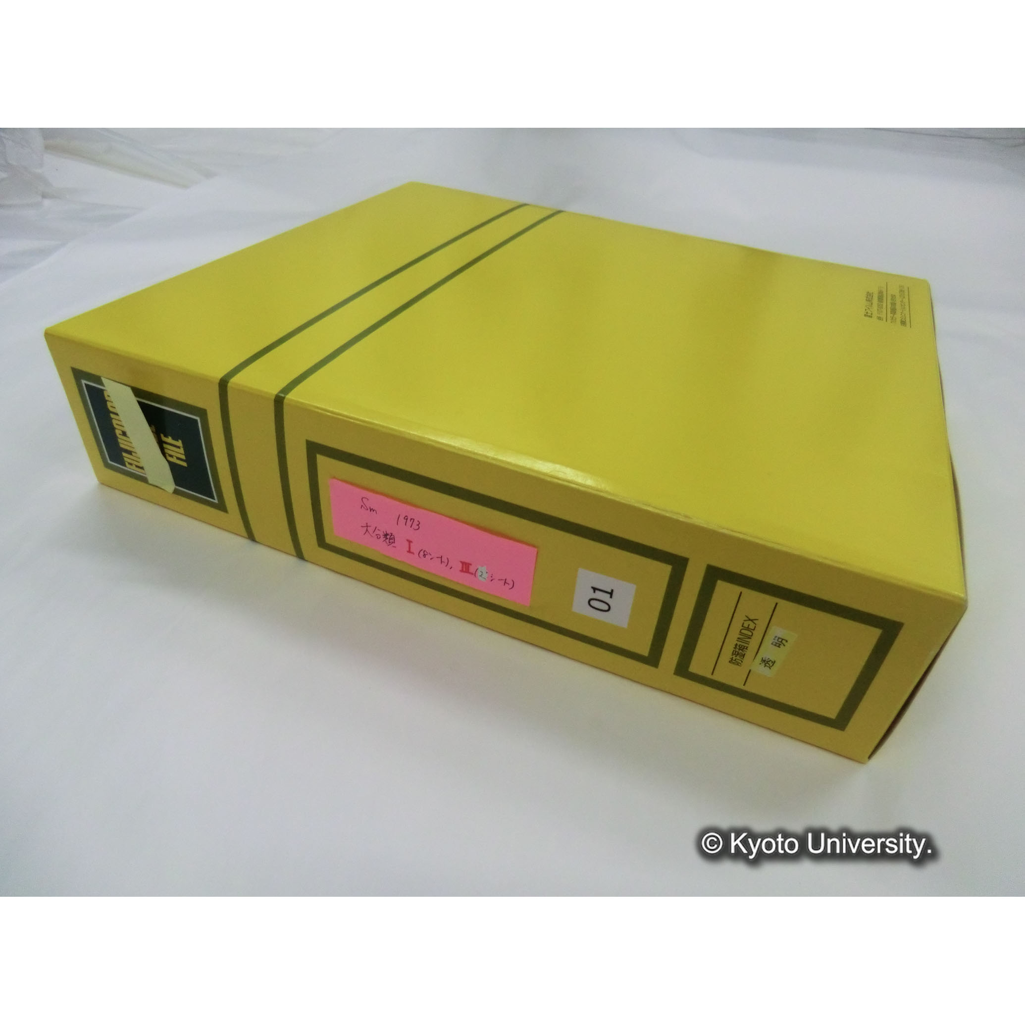 [スライドファイル]Sm1973 大分類I（8シート），III（2シート） [ラベル]01. (1)