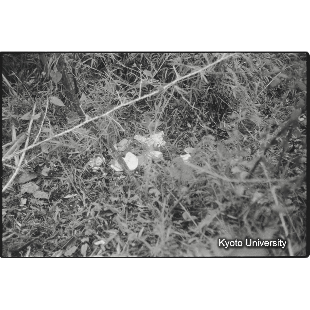 [４コマ目]「寝転んだ跡」 (1)