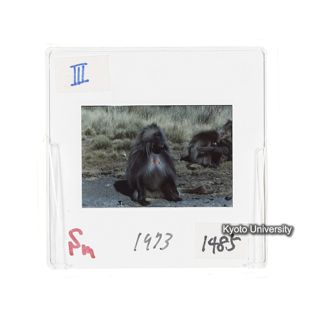 Sm　1973　1485 (2)