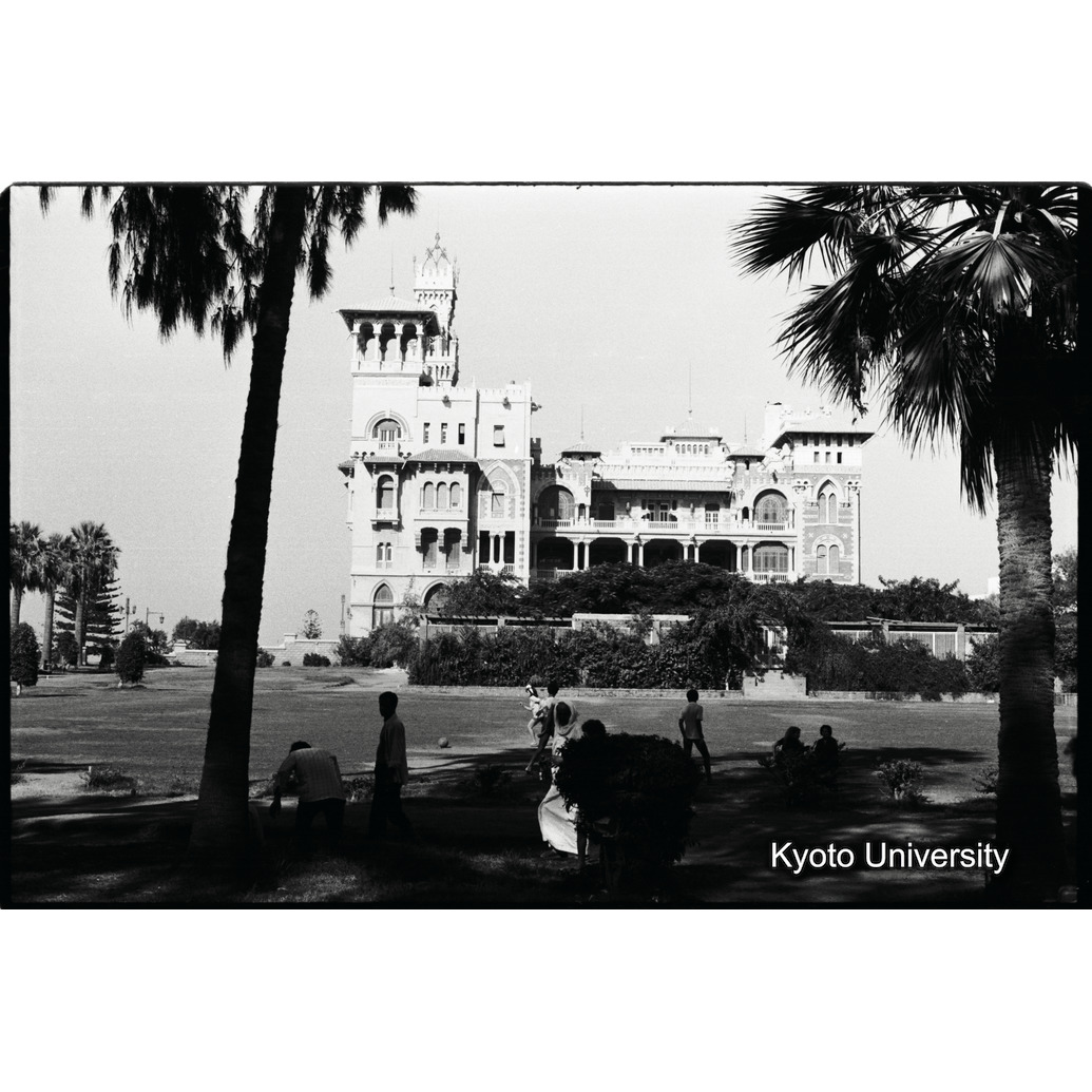 [２８コマ目]「トランジットのエジプト」「×」 (1)