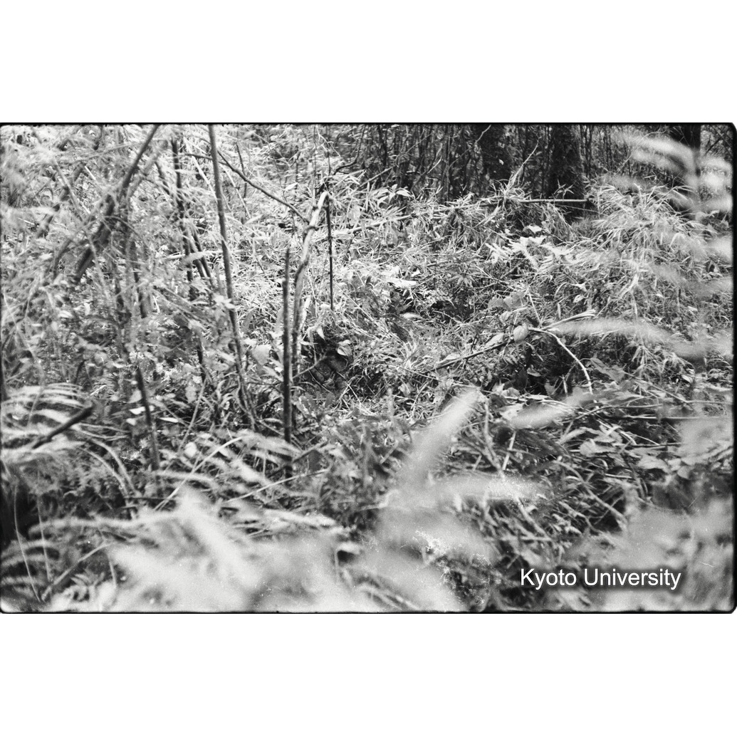 [1コマ目]「折れた竹」 (1)