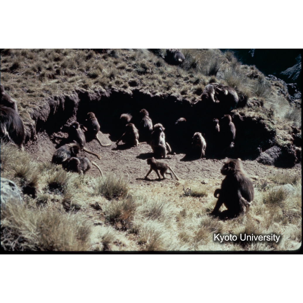 Sm　1973　1501 (1)