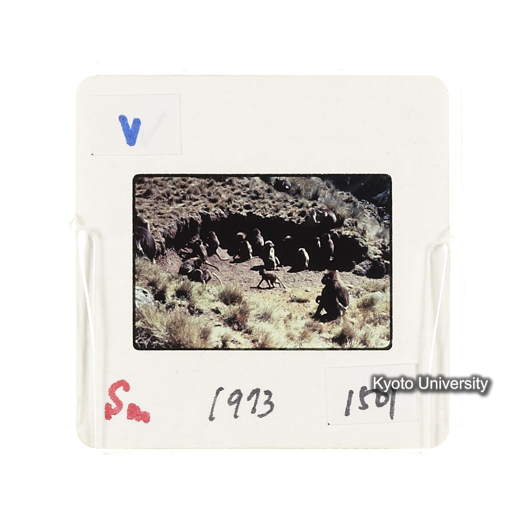 Sm　1973　1501 (2)