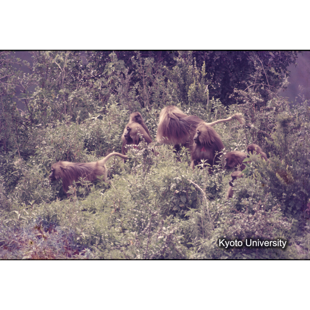 Sm　1973　1316 (1)