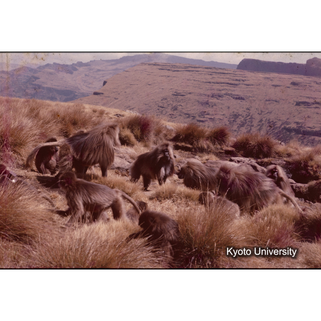 Sm　1973　1340 (1)