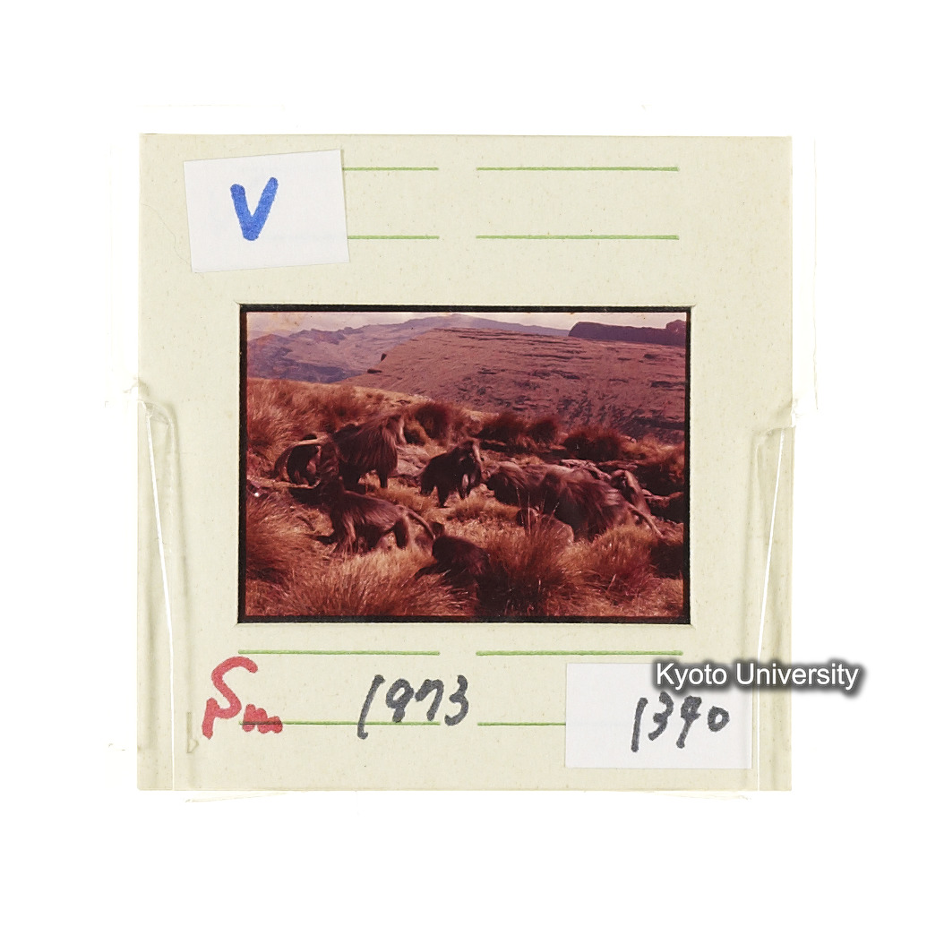 Sm　1973　1340 (2)